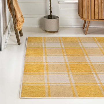 Sabine Traditional Farmhouse Bold Gingham Area Rug